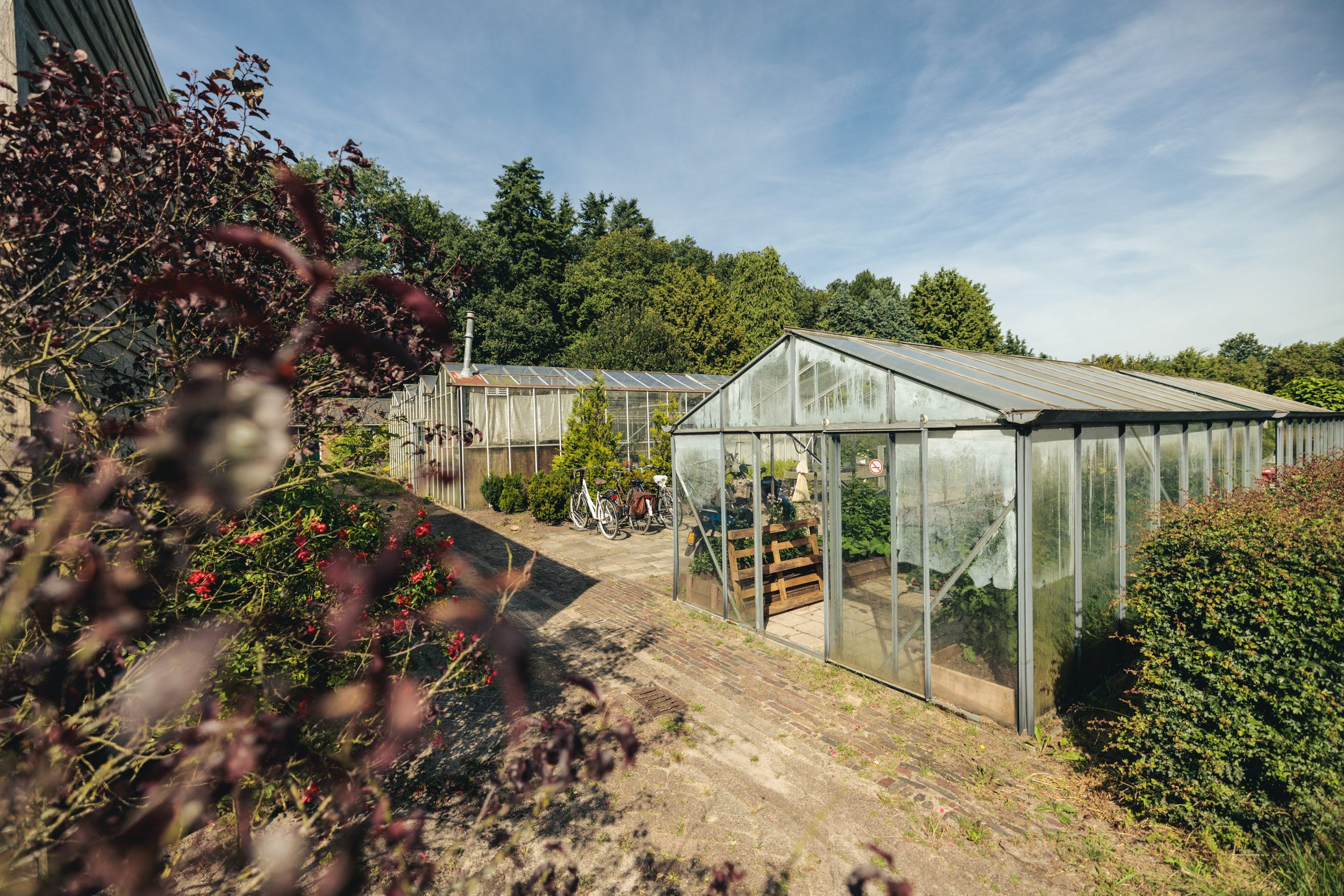 De kassen van het Werklab Westerwolde van Afeer aan de buitenkant