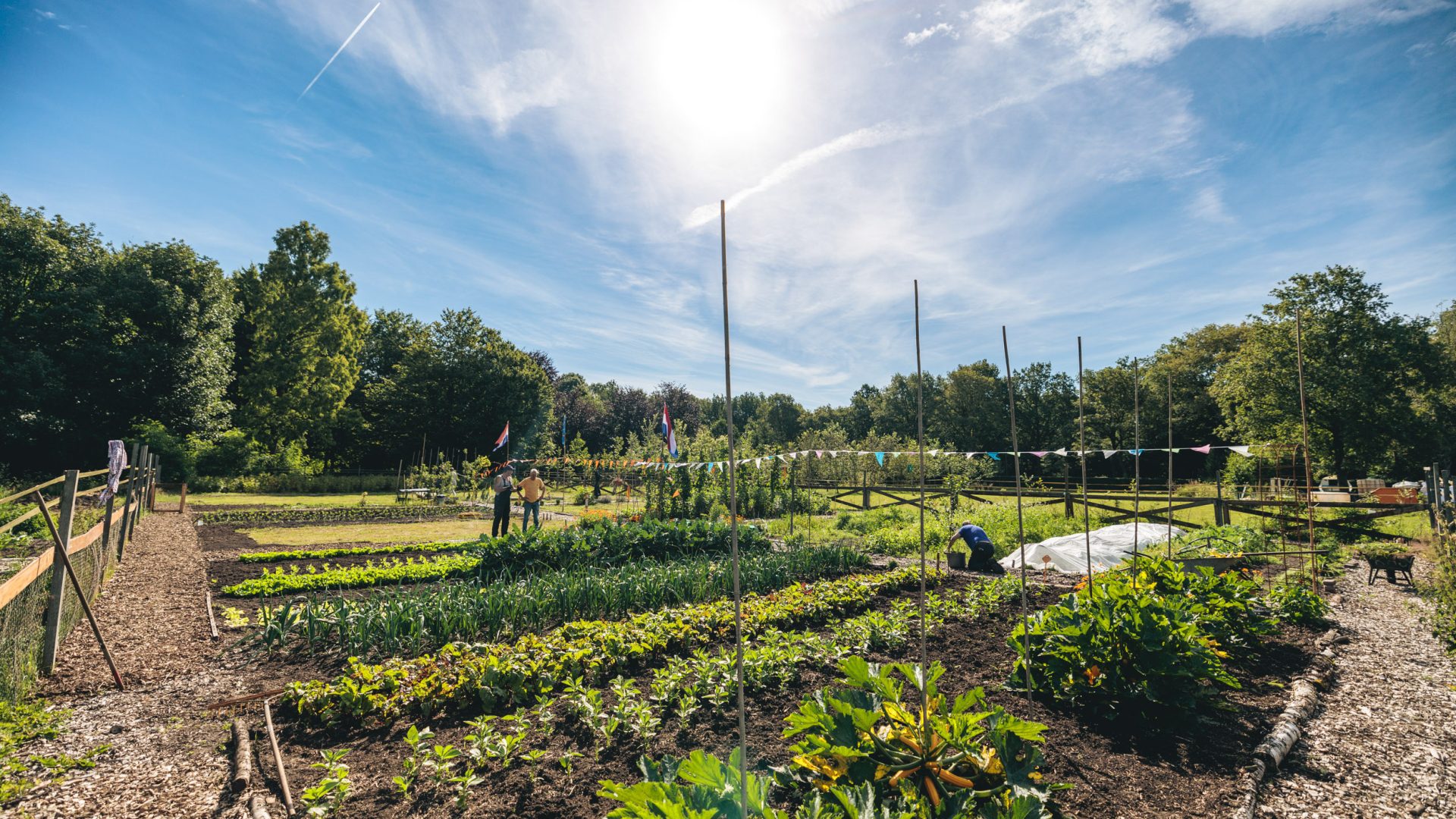 de moestuin van het Werklab Westerwolde